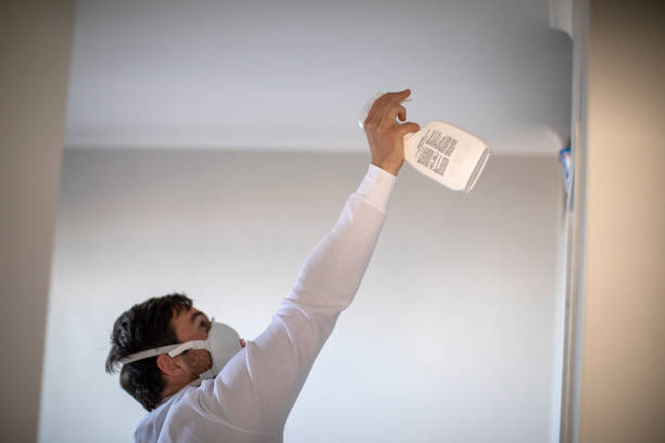 Best DIY Mold Remediation Support Services in Walthourville, GA